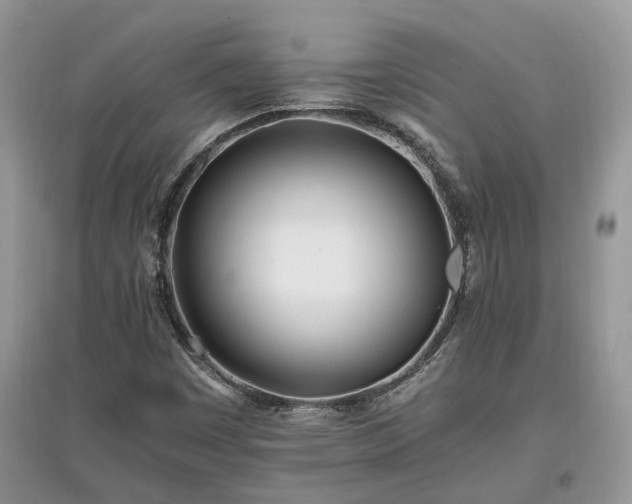 X0000097641449200803071542