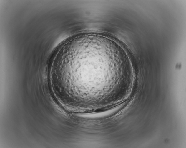 X0000097641450200803071542