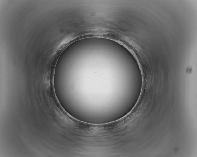 X0000097641451200803071542