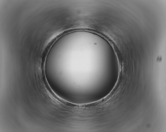 X0000097641452200803071542