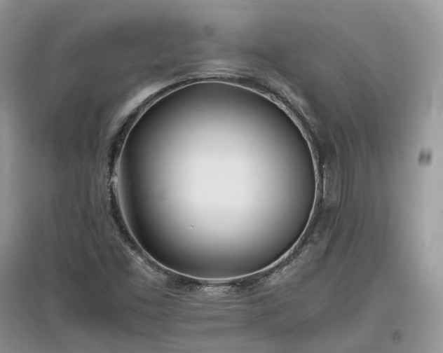 X0000097641453200803071542