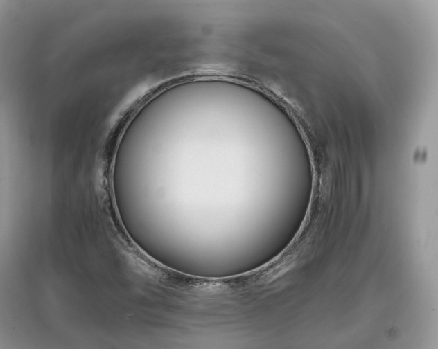 X0000097641454200803071542