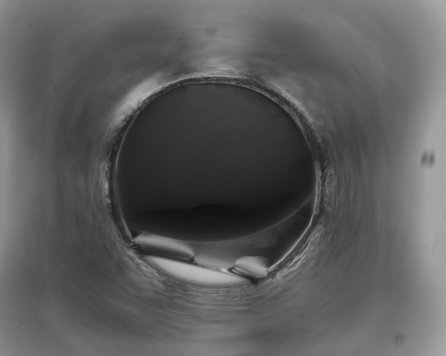 X0000097641455200803071542