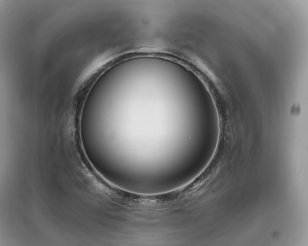 X0000097641456200803071542