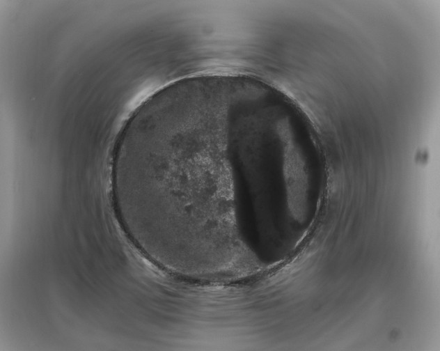 X0000097641459200803071542