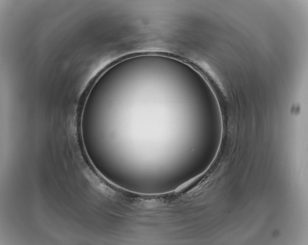 X0000097641460200803071542