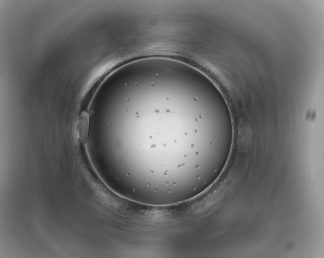 X0000097641461200803071542