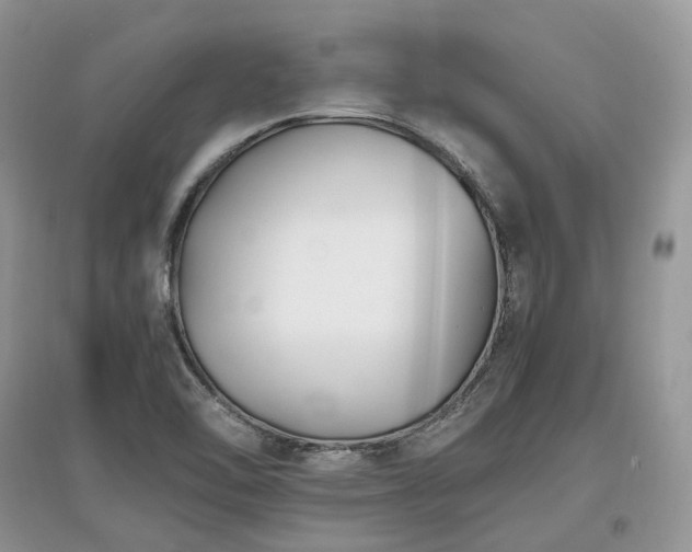 X0000097641462200803071542