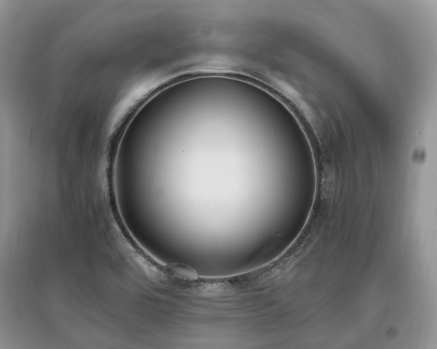 X0000097641464200803071542