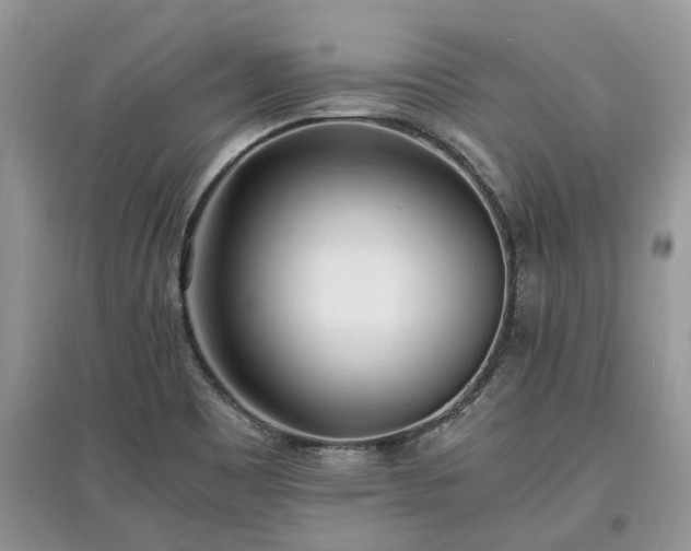 X0000097641465200803071542