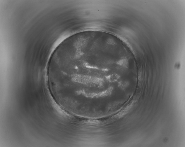 X0000097641466200803071542