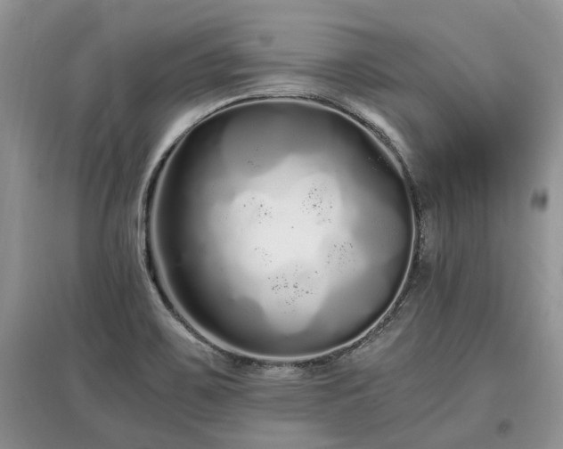 X0000097641467200803071542