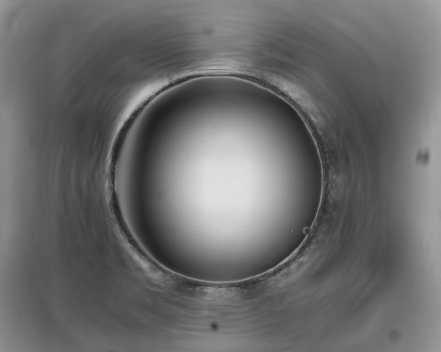 X0000097641469200803071542