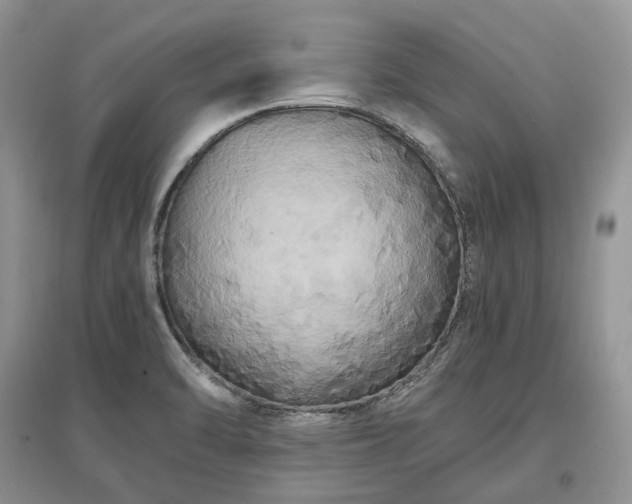 X0000097641470200803071542