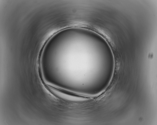 X0000097641471200803071542