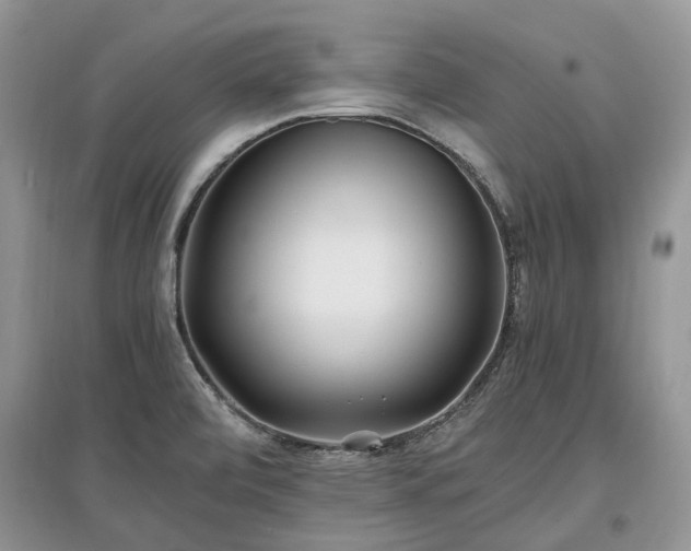 X0000097641472200803071542