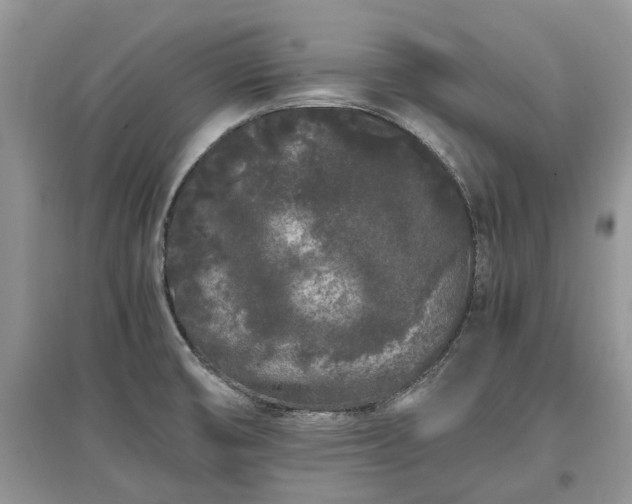 X0000097641474200803071542