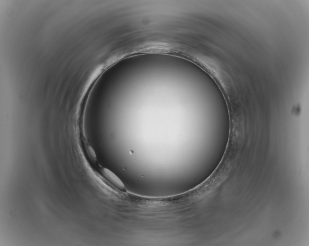 X0000097641475200803071542