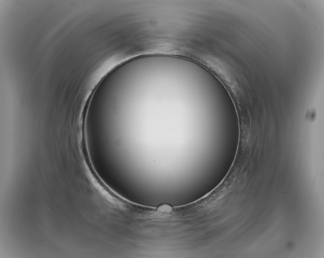 X0000097641479200803071542