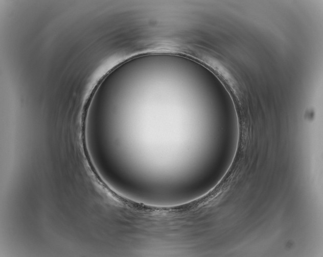 X0000097641480200803071542