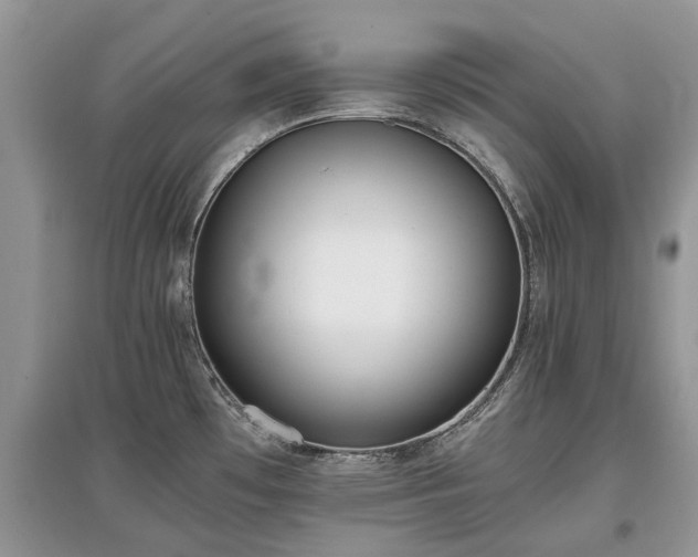 X0000097641481200803071542