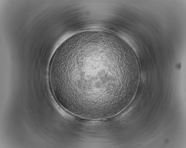 X0000097641482200803071542