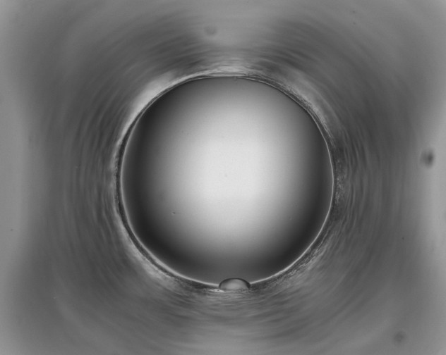 X0000097641483200803071542