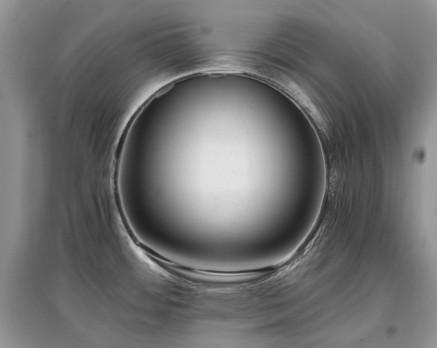 X0000097641484200803071542