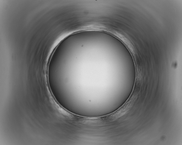 X0000097641486200803071542