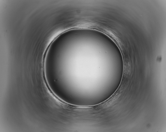 X0000097641487200803071542