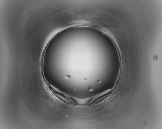 X0000097641488200803071542