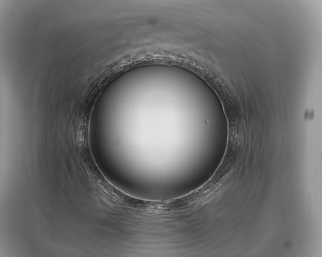 X0000097641490200803071541