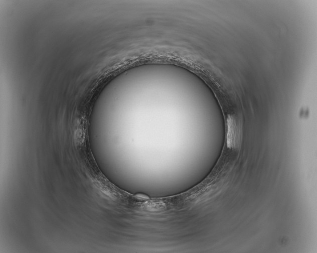 X0000097641491200803071541