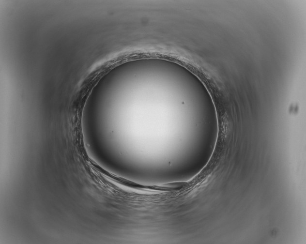 X0000097641494200803071541