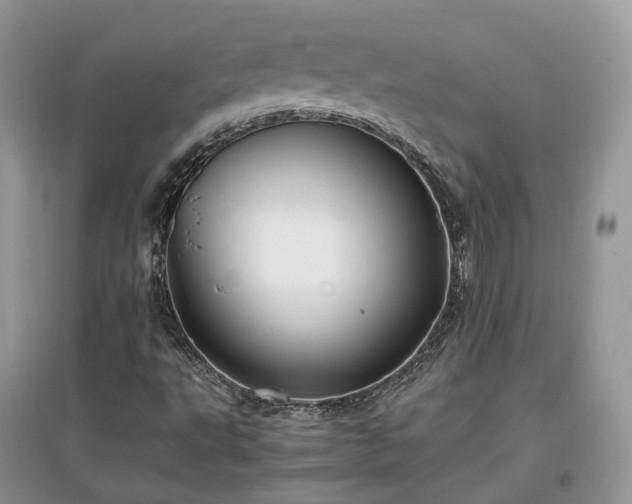 X0000097641495200803071541