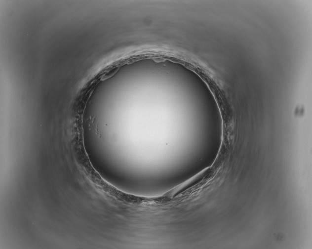 X0000097641496200803071541