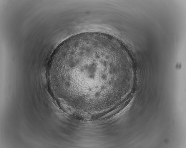 X0000097641497200803071541