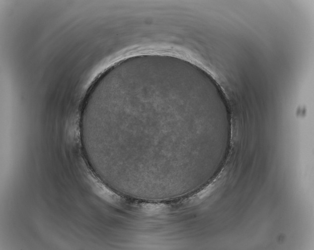 X0000097641498200803071541