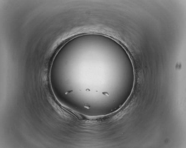 X0000097641499200803071541