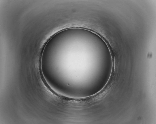 X0000097641500200803071541