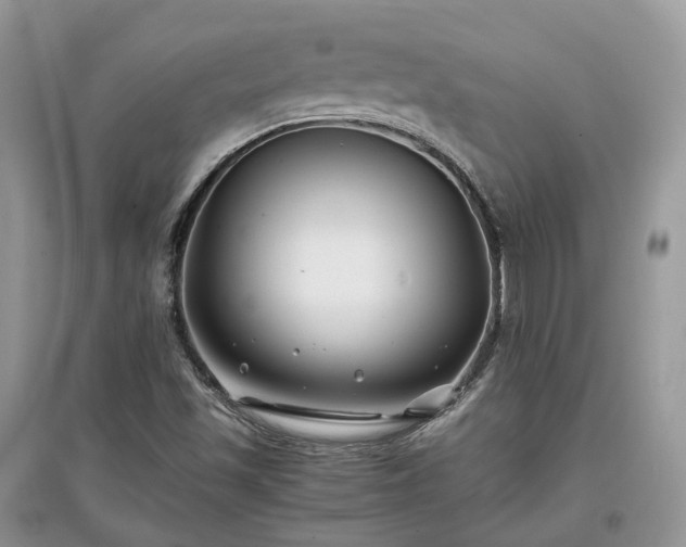 X0000097641501200803071541