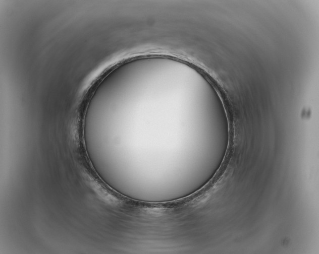 X0000097641502200803071541