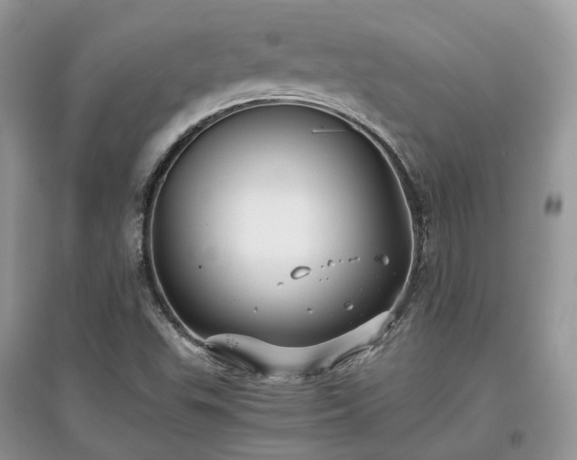 X0000097641503200803071541