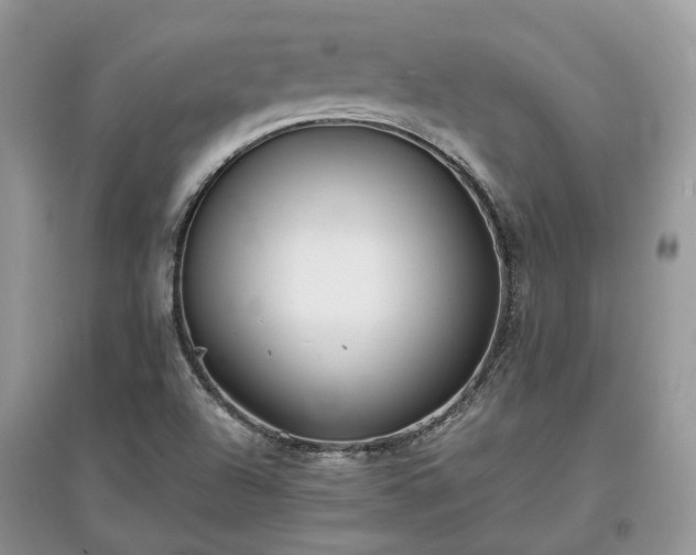 X0000097641504200803071541