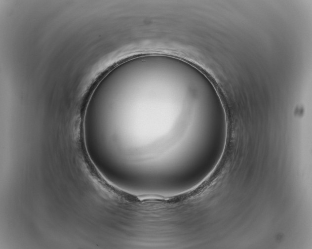 X0000097641507200803071541