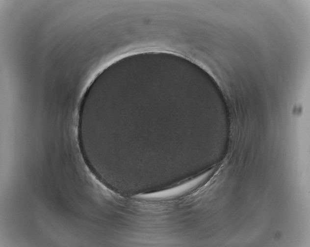 X0000097641508200803071541