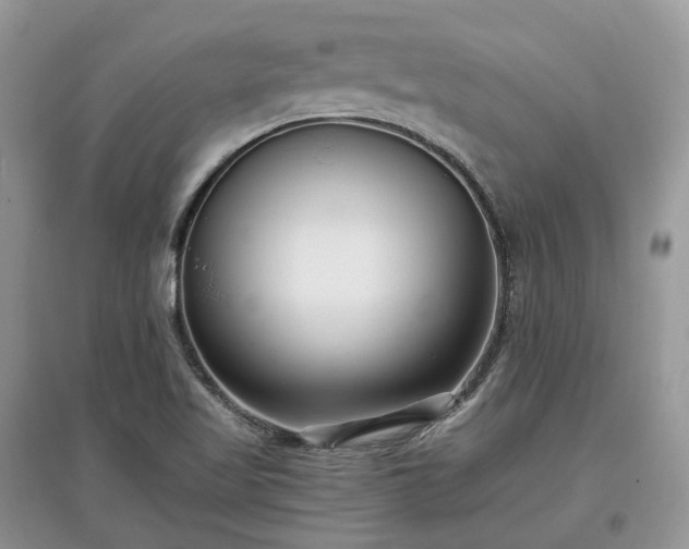 X0000097641509200803071541