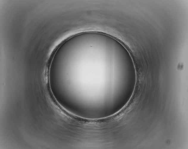 X0000097641510200803071541