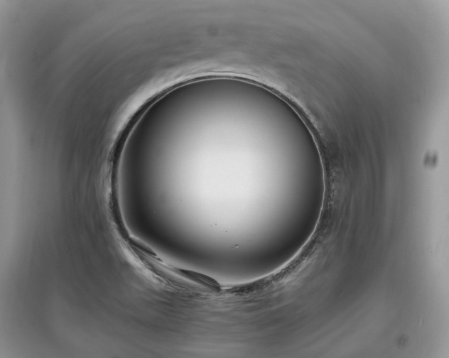 X0000097641511200803071541