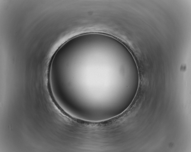 X0000097641512200803071541